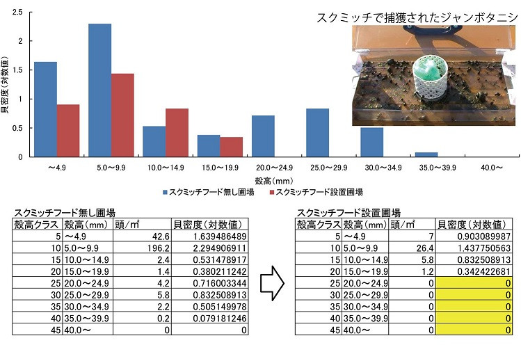 BR045_ジャンボタニシ防除トラップ【スクミッチ＋スクミッ