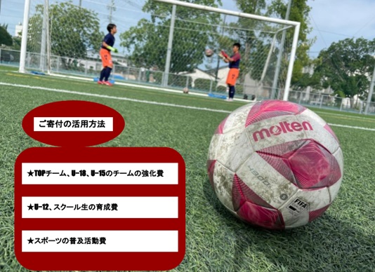 CID60_【みやきなでしこ】応援米【３回定期便】さがびより