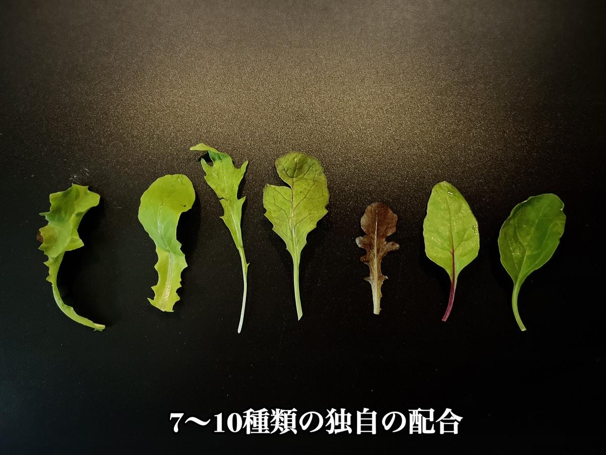 EG102_無塩・無糖　カシューナッツバター＆メープルバター