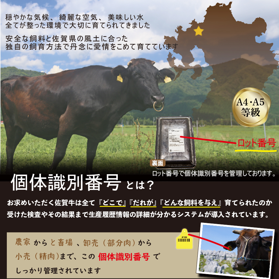 FM028_【発送まで約１か月待ち】佐賀牛すきやきしゃぶしゃ