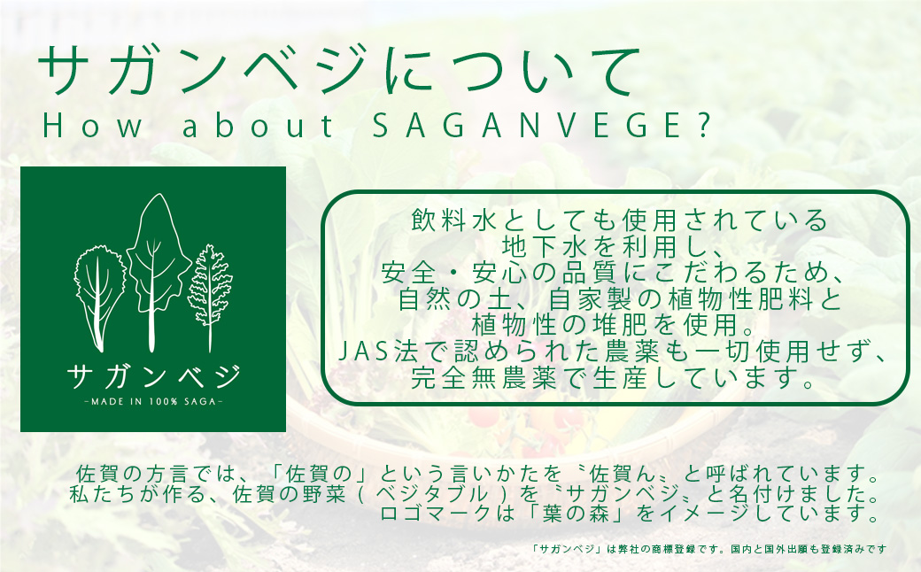 CQ036_【定期便】オーガニック葉物野菜セット【植物性で育