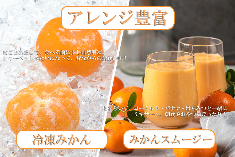 DV146_【計７回】柑橘好きのための佐賀みかん定期便