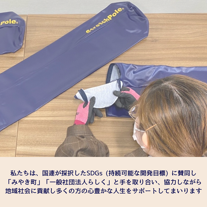 FI004_【限定色】「ストレッチポールEX」（LPN社製）一流アス