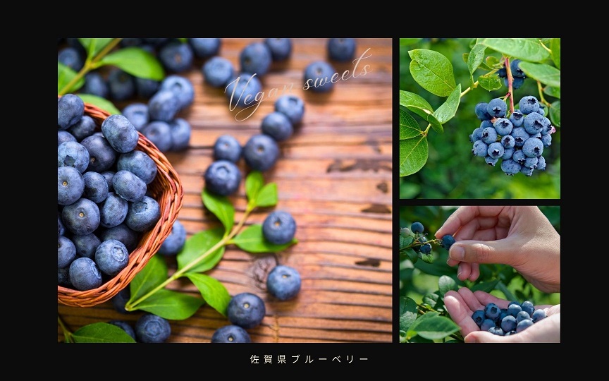 EG129_クリスマスケーキ☆腸や皮膚の健康を維持する栄養素