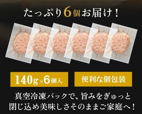 CF036_佐賀牛かばいばーぐ　140g×6個