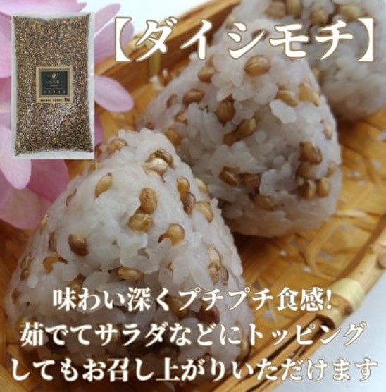 CIC01_佐賀県産『もち麦』８kg(１kg×８袋)【ダイシモチ】