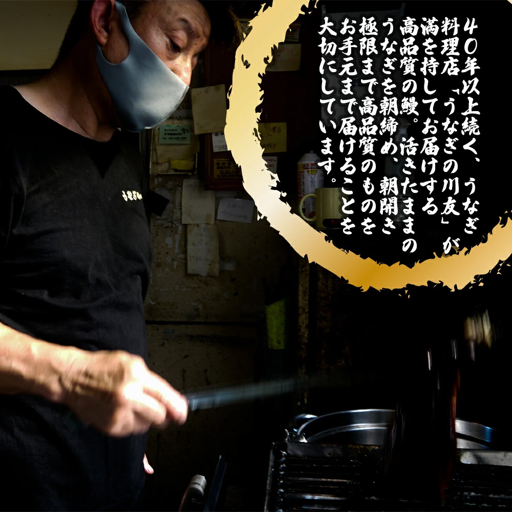 AK011_【冷蔵発送】朝開き国産うなぎ 当日発送２尾（1尾あた