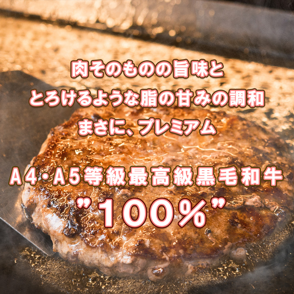 BN128_坂本ストアー佐賀牛お手頃セット（ステーキ・ハンバ