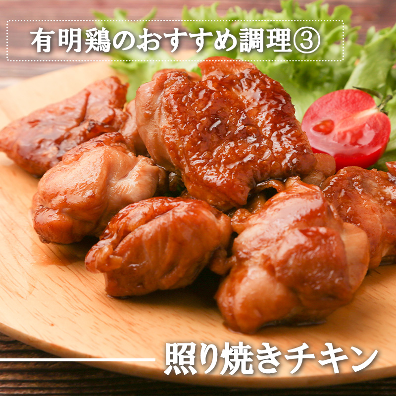 BN132_有明鶏むね2ｋｇ入（500ｇｘ4ｐ）