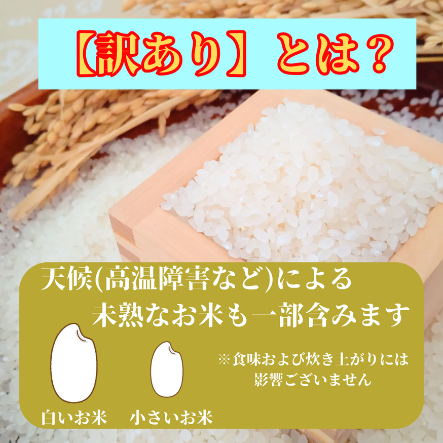 CID11_プレミアムブレンド無洗米３ｋｇ