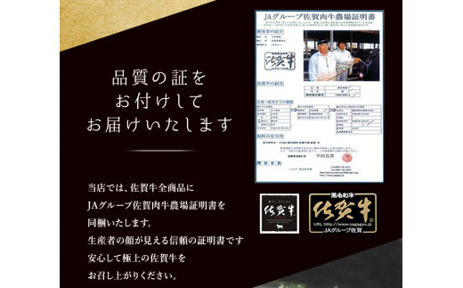 BN034  Ａ5ランク佐賀牛もも切落し750g