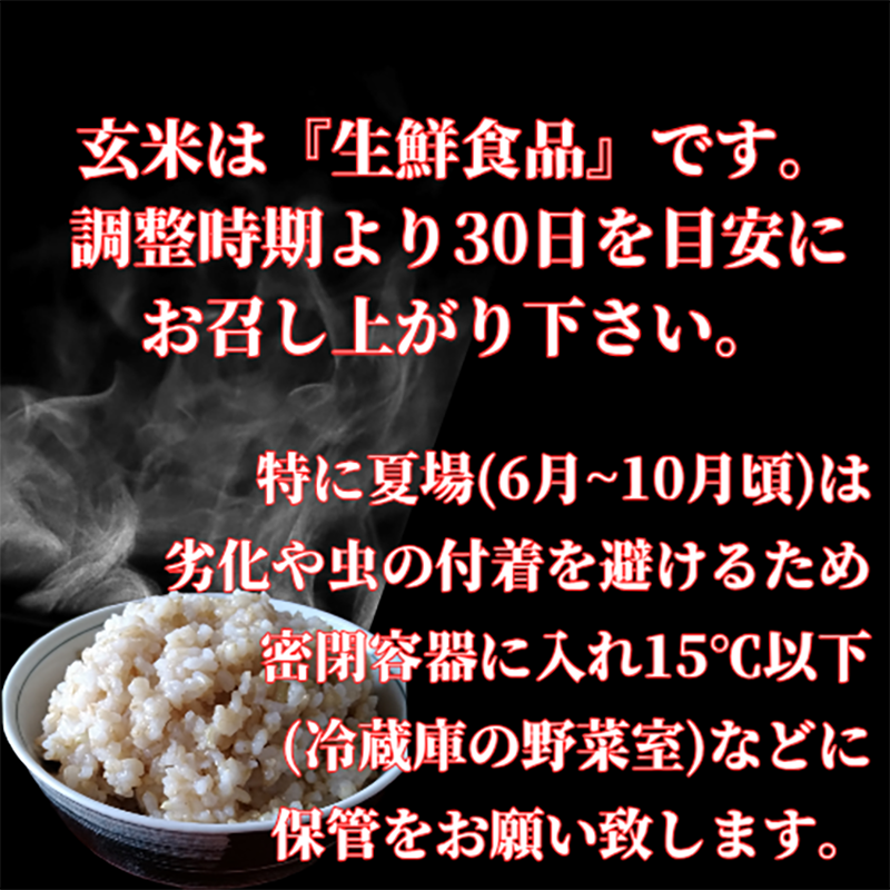 CID27_【玄米】さがびより６ｋｇ（３ｋｇ×２袋）【五つ星お