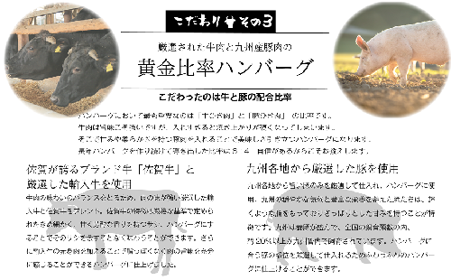 FM031_【最長半年待ちの大人気】佐賀牛入り熟成ハンバーグ18