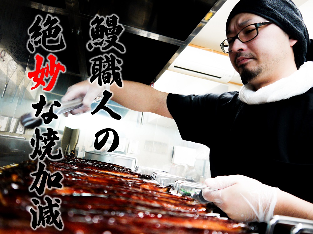 FK017　【12回定期便】九州産　うなぎ職人手焼き　蒲焼　国