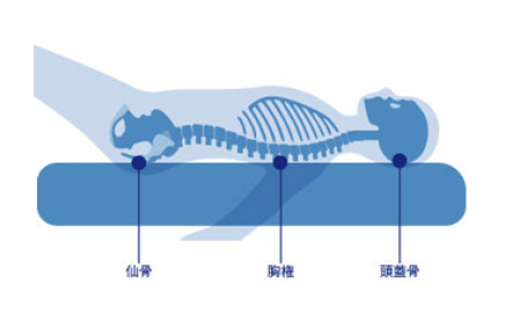 FI002【LPN社製】「ストレッチポールEX」（ネイビー色）一流
