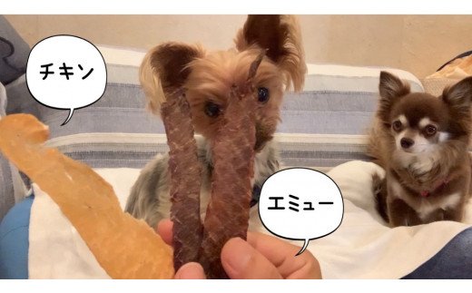 FB111  犬の無添加おやつ☆エミュージャーキー＆チキンジャ