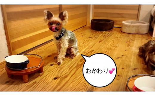 FB155 　犬の無添加ごはん☆具だくさんカレー＆クリームシ