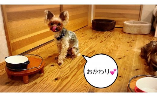 FB154 　犬の無添加ごはん☆具だくさんカレー＆クリームシ