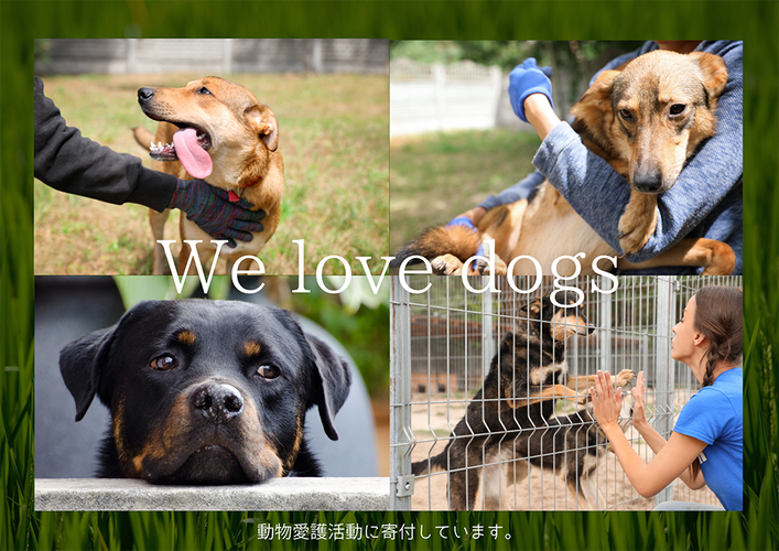 FB061  犬と猫の無添加おやつ☆お塩不使用☆黄金の燻製にぼ