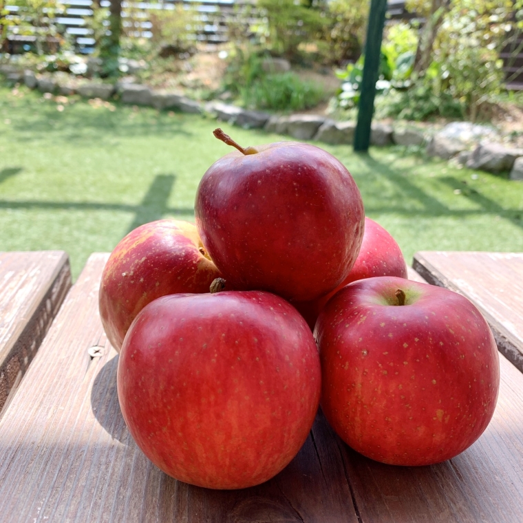 FB148　【10月～5月20日まで順次発送】犬の無添加おやつ☆お