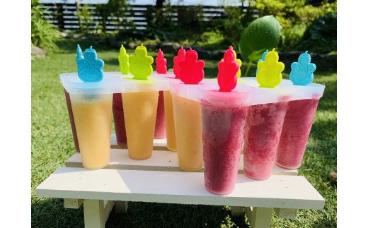 FB137 　【5月～9月発送】犬の無添加おやつ☆お砂糖不使用無