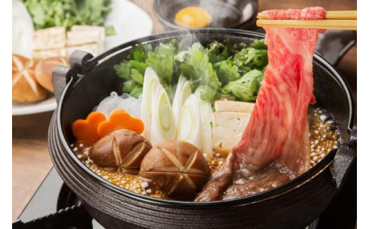 DP086_佐賀牛赤身定期便Ｃ♪　(1,3,5,7,9月お届け)　ヒレステー