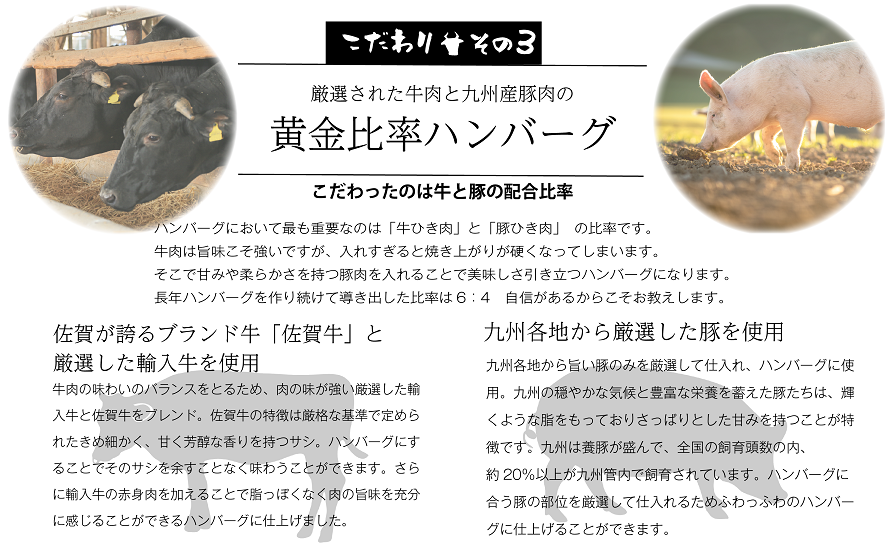 FM032_【最長半年待ちの大人気】佐賀牛入り熟成生ハンバー