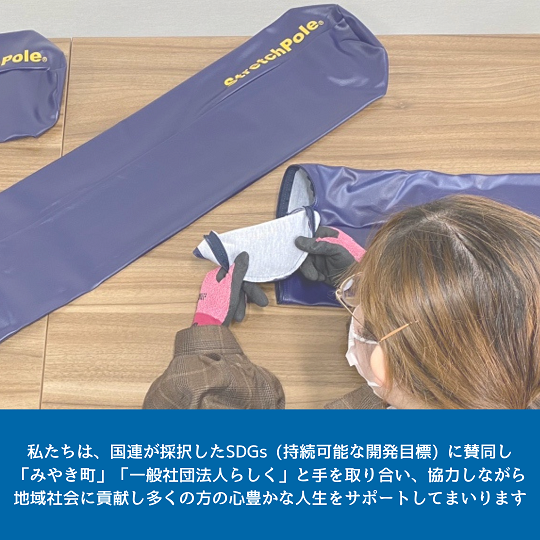 FI003_【LPN社製】《アイボリー色》「ストレッチポール(登録