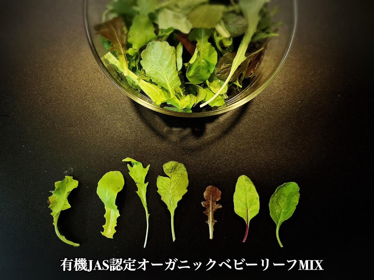 EG102_無塩・無糖　カシューナッツバター＆メープルバター