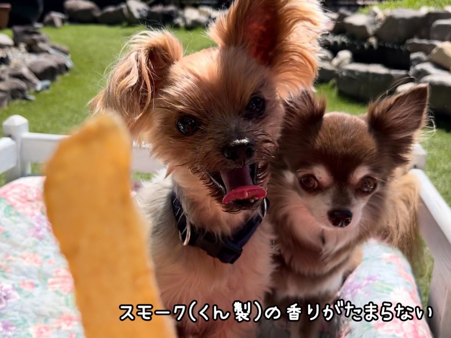 FB133_【訳あり】スモークの香りがたまらない☆スモークチ