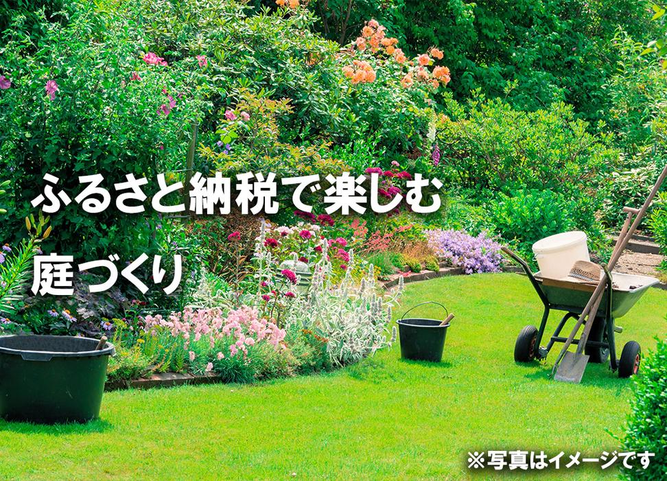 BS173_ハーブセットB　花 苗 植物 家庭菜園 花壇 プランター 