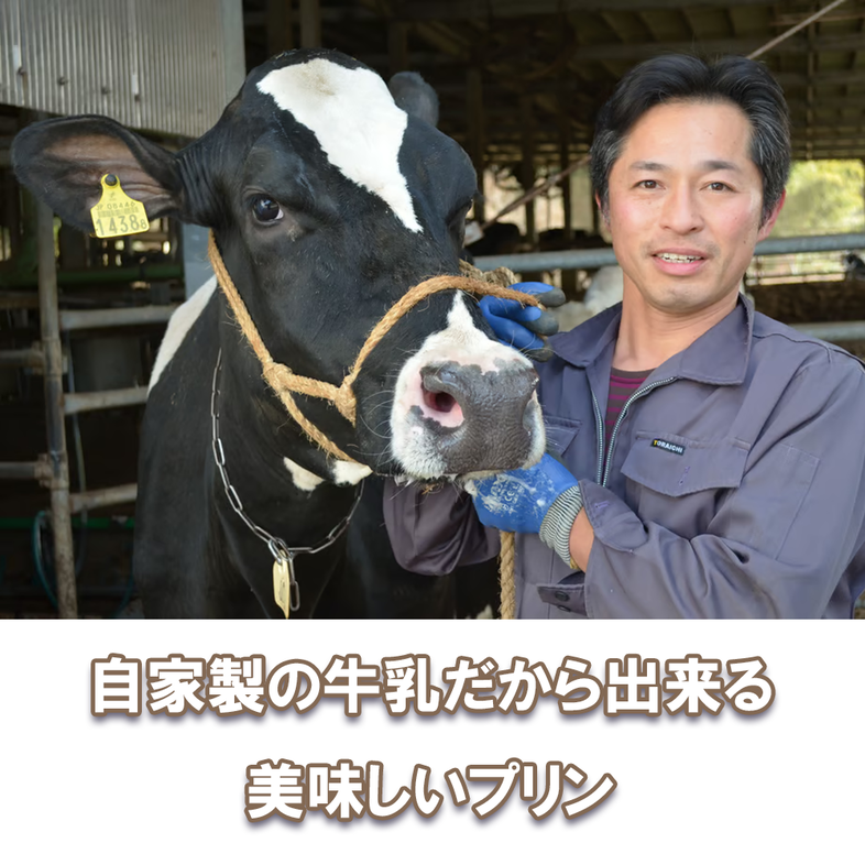 CK018_牧場プリン3　甘さ控えめプリン詰合せ