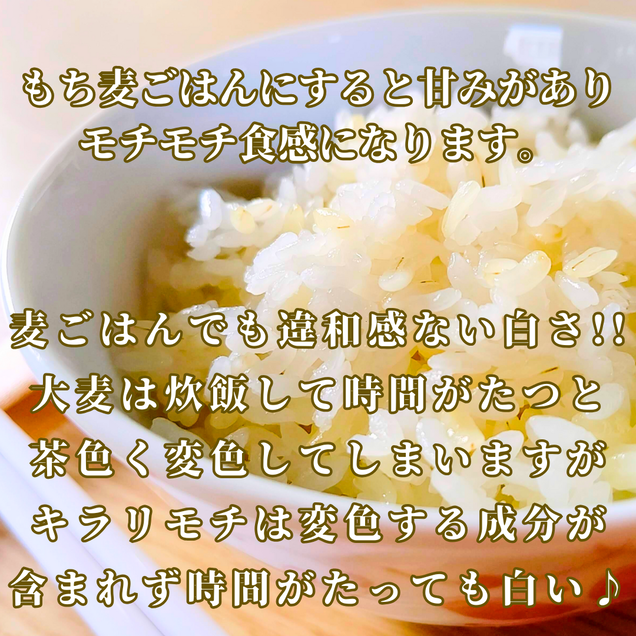 CIC13_【３回定期便】キラリモチ４ｋｇ もち麦 キラリ もち