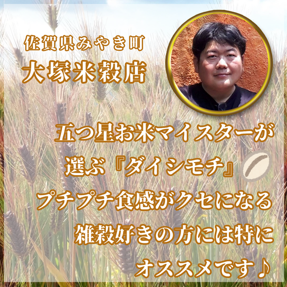CIC19_【６回定期便】ダイシモチ４ｋｇ もち麦 キラリ もち