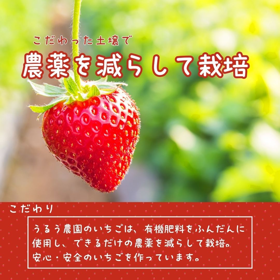 GF005_【2025年11月中旬～2026年4月発送】極上いちご 400ｇ