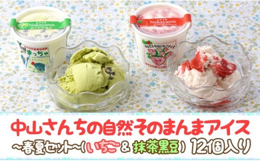 AE034_農家が考えたなめらかアイス１２個（いちご＆黒豆抹