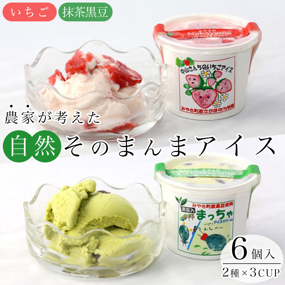 AE032_農家が考えたなめらかアイス６個（いちご＆黒豆抹茶