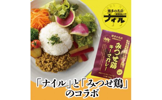 DR002　博多の名店ナイル　みつせ鶏キーマカレー１０パック