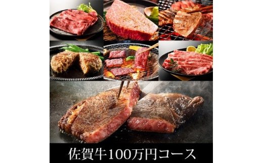 BN047  ふるさと納税　訳あり　定期便　100万コース（佐賀牛