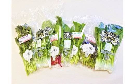 CQ037_オーガニックサラダミニセット【植物性で育てた完全