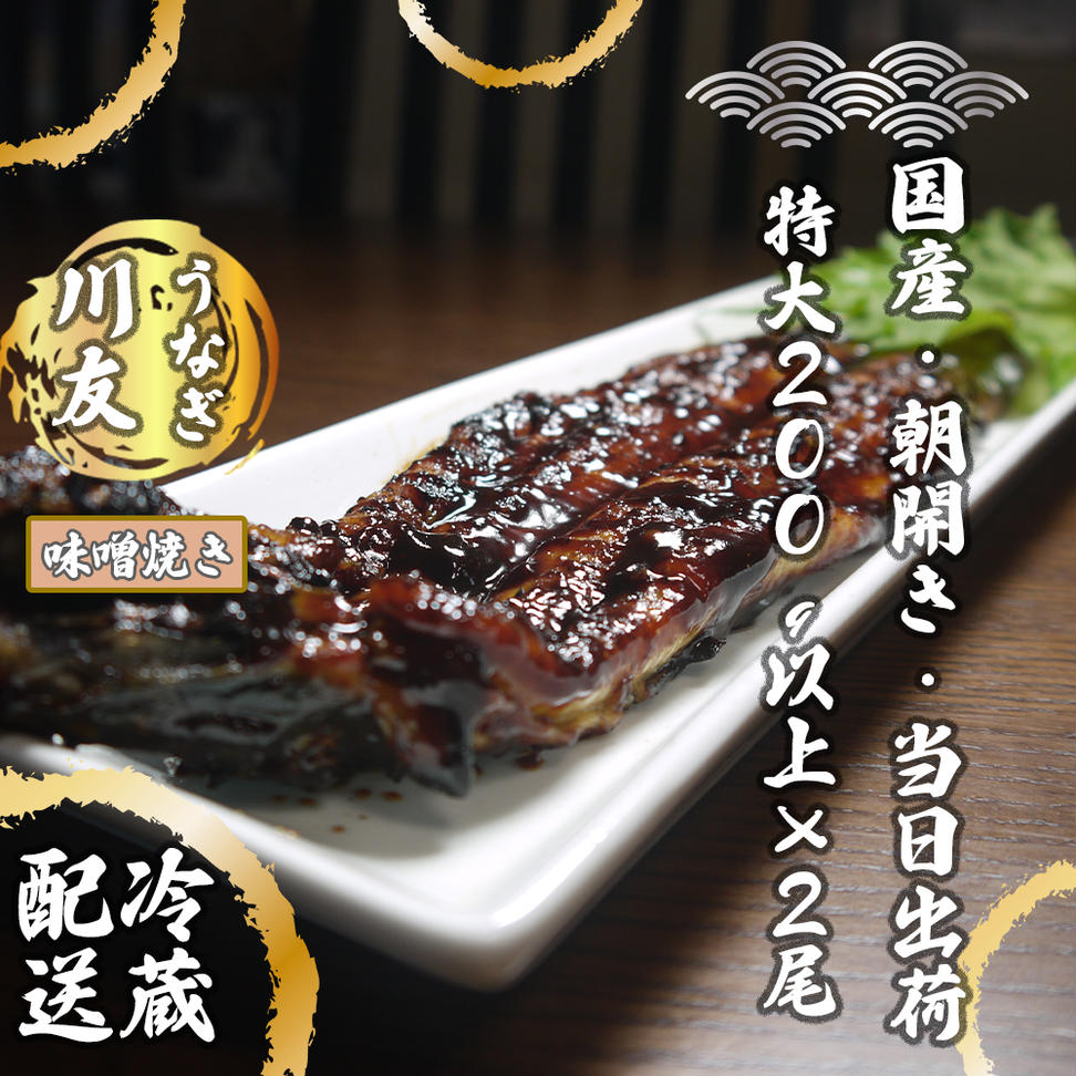 AK005_【冷蔵発送】朝開き国産うなぎ 当日発送２尾（1尾あた
