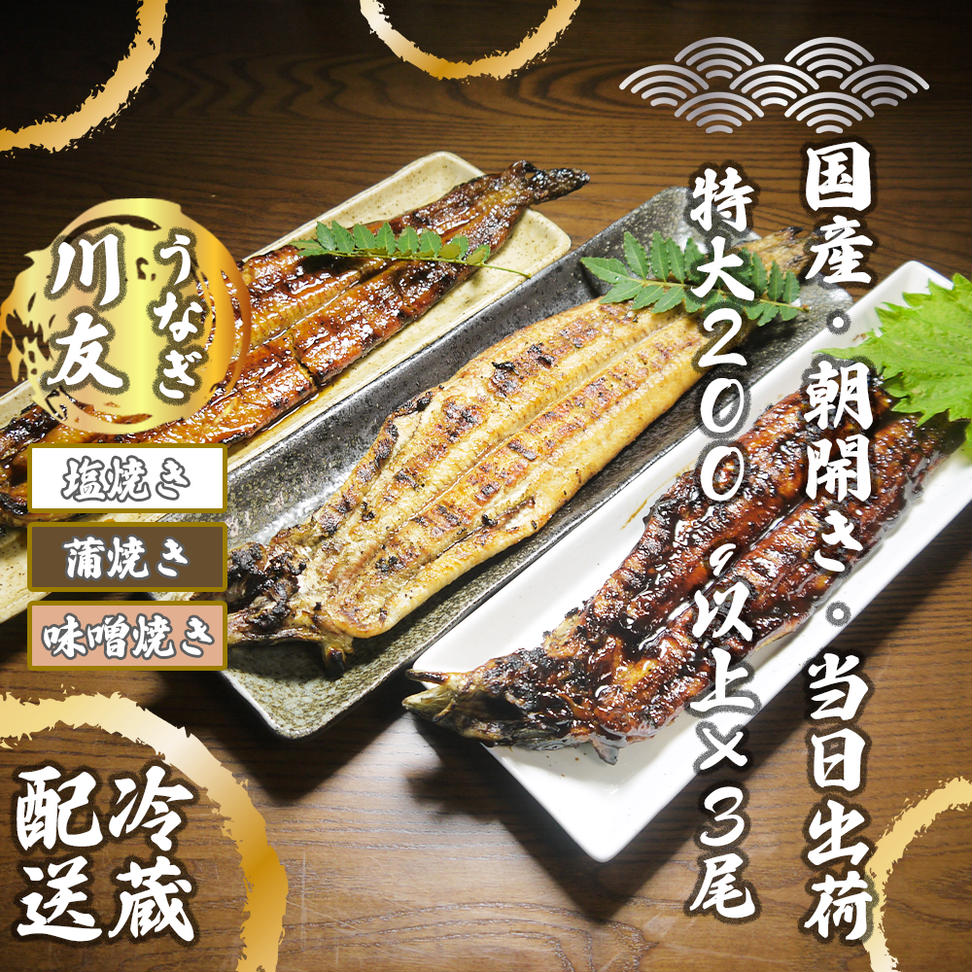 AK006_【冷蔵発送】朝開き国産うなぎ 当日発送3尾（1尾あた