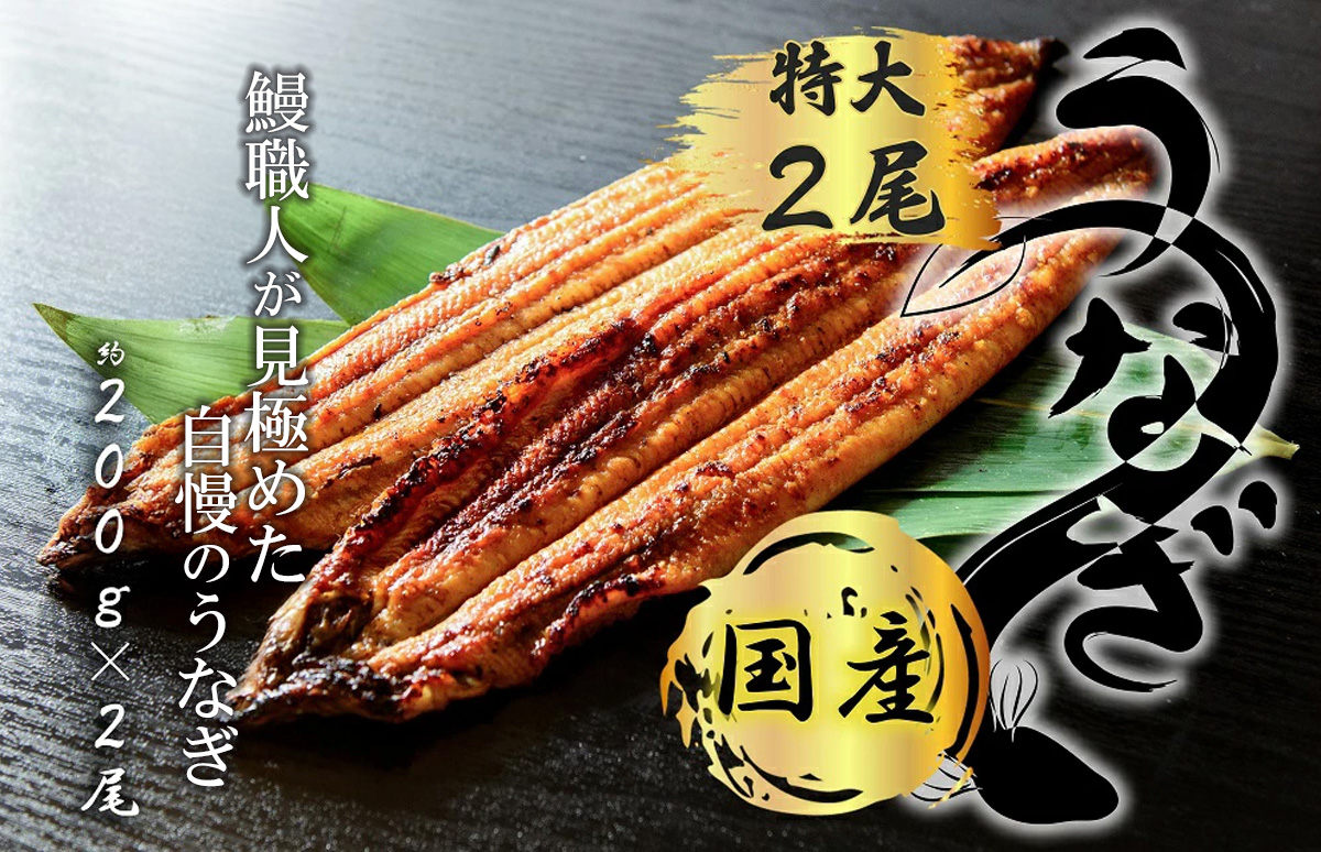 FK014 九州産　鰻職人が見極めた自慢のうなぎ　蒲焼　国産