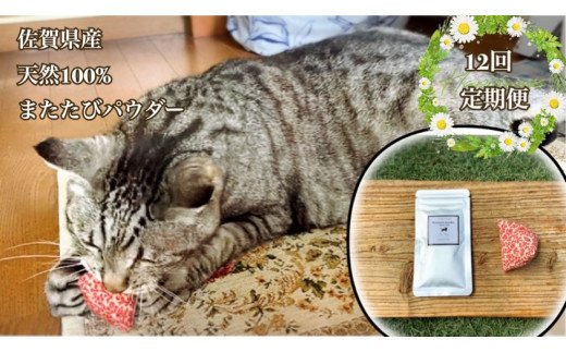 FB106  猫用☆天然100％ 無添加・無農薬またたびパウダー＆蹴