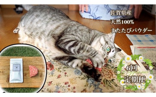FB105  猫用☆天然100％ 無添加・無農薬またたびパウダー＆蹴