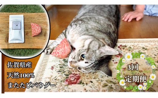FB104  猫用☆天然100％無添加・ 無農薬またたびパウダー＆蹴