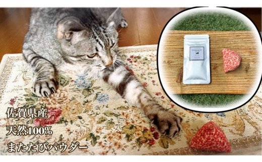 FB103  猫用☆天然100％無添加・ 無農薬またたびパウダー＆蹴