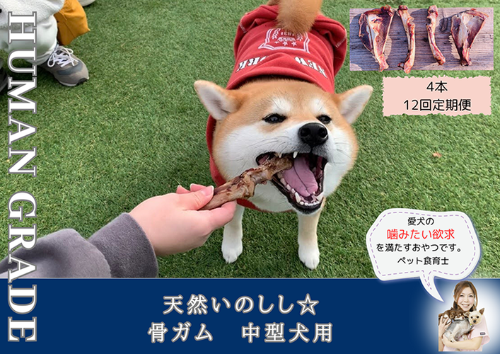 FB177_中型犬向け☆天然いのししの骨ガム4本（300～400g）【定