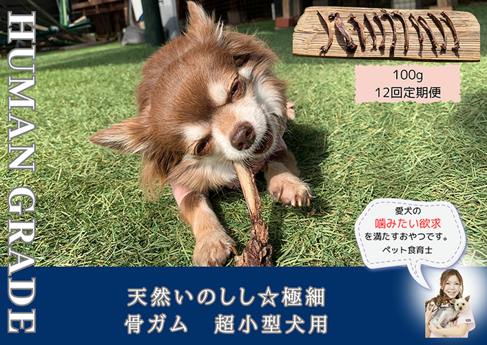FB171_超小型犬向け☆天然いのししの骨ガム100g【定期便】全1