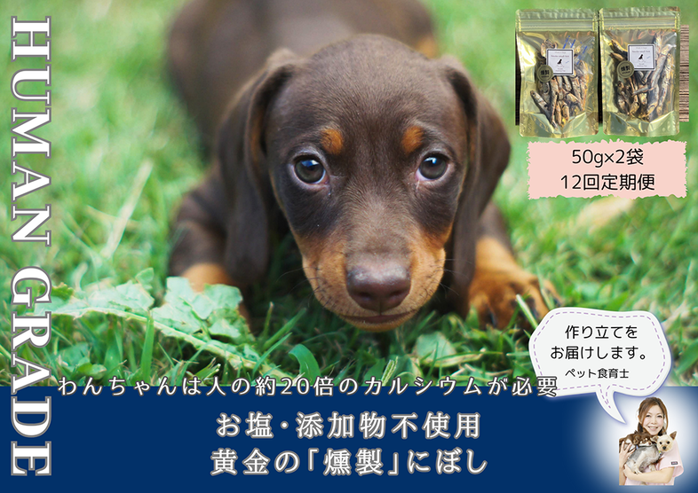 FB065 　犬と猫の無添加おやつ☆お塩不使用☆黄金の燻製に